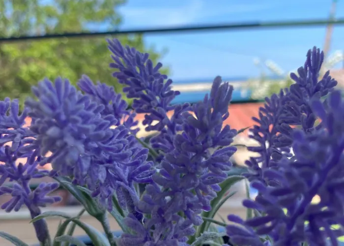 Casa Porto Case de vacanță