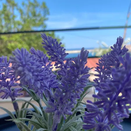 Casa Porto Tatil Evi